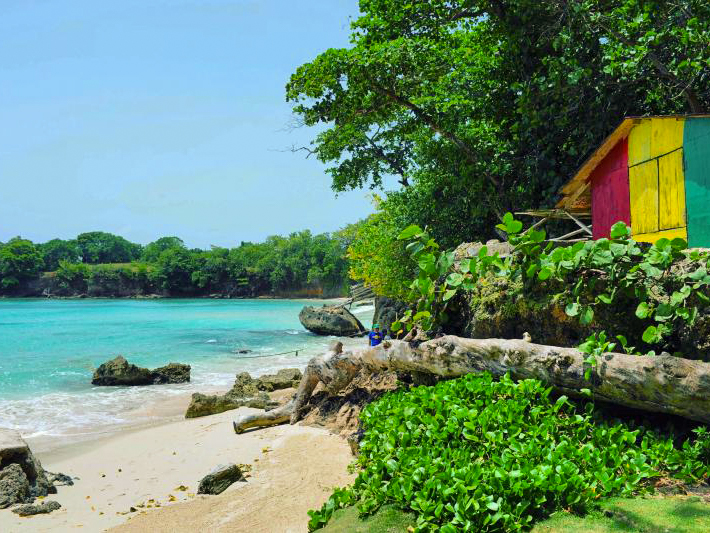 organiser un voyage en jamaique